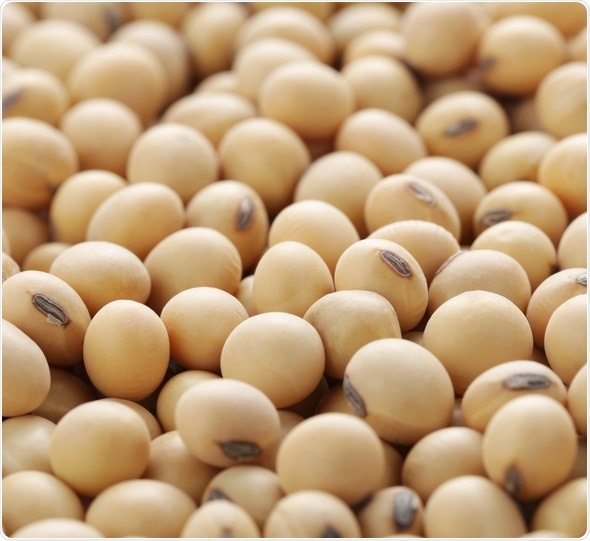 Close up of soy beans